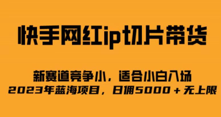快手网红ip切片新赛道，竞争小事，适合小白 2023蓝海项目-风歌资源网