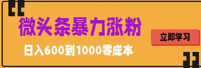 微头条暴力涨粉技巧搬运文案就能涨几万粉丝，简单0成本，日赚600-风歌资源网