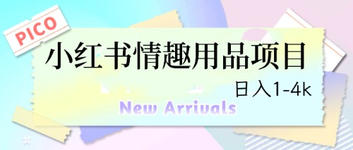 最新小红书情趣用品项目，日入1-4k-风歌资源网