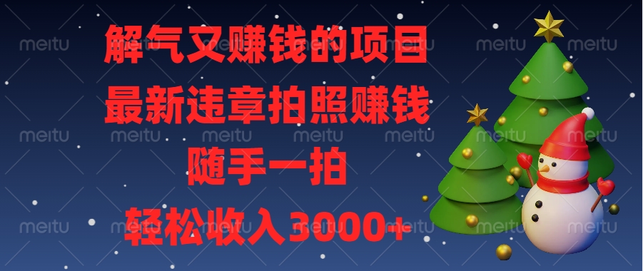 最新违章拍照赚钱，随手一拍，解气又赚钱的项目，轻松收入3000+-风歌资源网