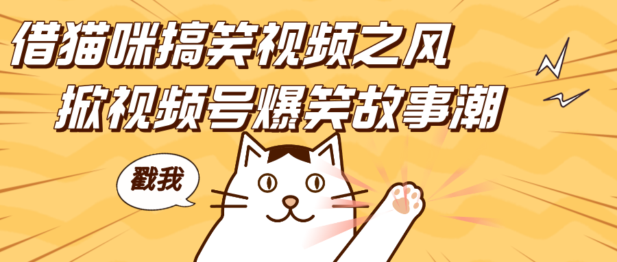 借猫咪搞笑视频之风，掀视频号爆笑故事潮，轻松日赚四位数，开启无门槛赚钱新体验！-风歌资源网