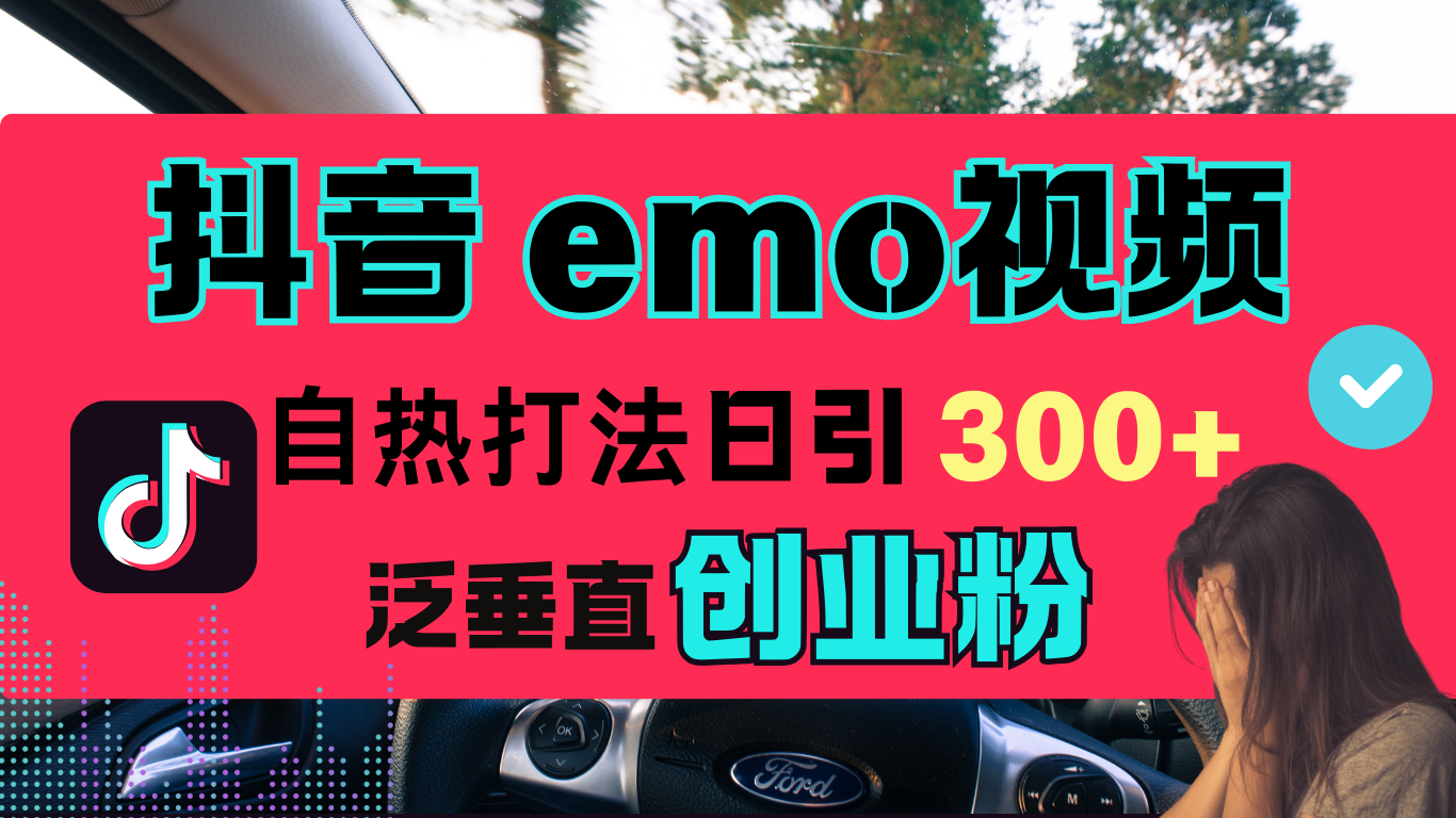 抖音“EMO视频”自热流打法，日引300+泛垂直创业粉-风歌资源网