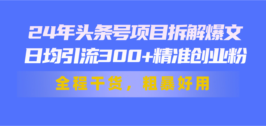 24年头条号项目拆解爆文，日均引流300+精准创业粉，全程干货，粗暴好用-风歌资源网