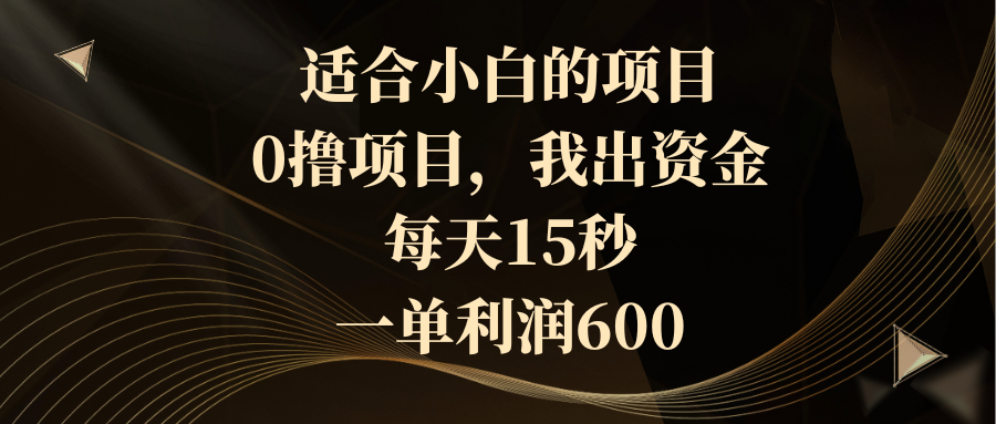 适合小白的项目，0撸项目，我出资金，每天15秒，一单利润600-风歌资源网