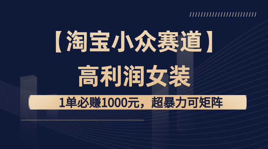 【淘宝小众赛道】高利润女装：1单必赚1000元，超暴力可矩阵-风歌资源网