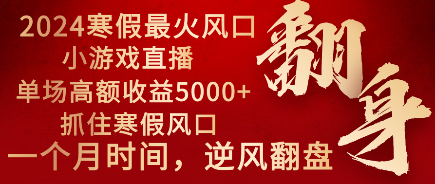 2024年最火寒假风口项目 小游戏直播 单场收益5000+抓住风口 一个月直接提车-风歌资源网