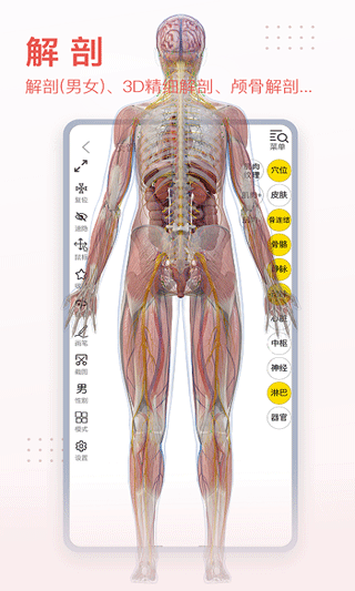 3dbody解剖苹果版 v8.8.21-风歌资源网