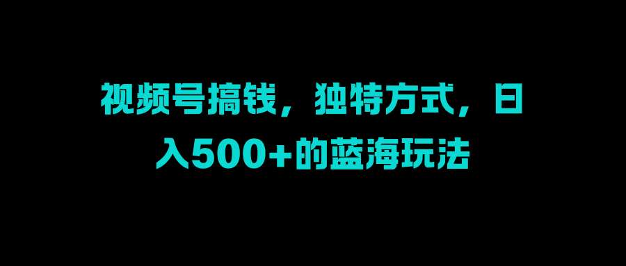 视频号搞钱，独特方式，日入500+的蓝海玩法-风歌资源网