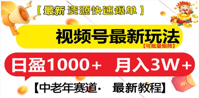 视频号独家玩法，老年养生赛道，无脑搬运爆款视频，日入1000+-风歌资源网