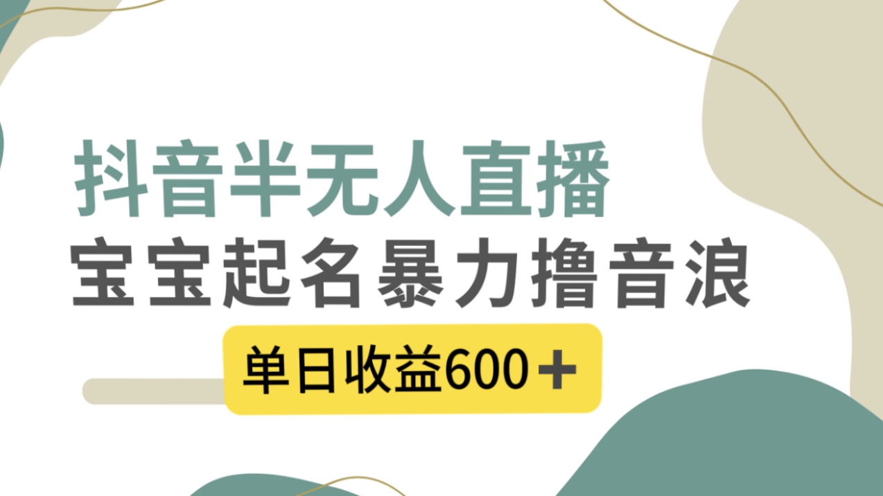 抖音半无人直播，宝宝起名，暴力撸音浪，单日收益600+-风歌资源网