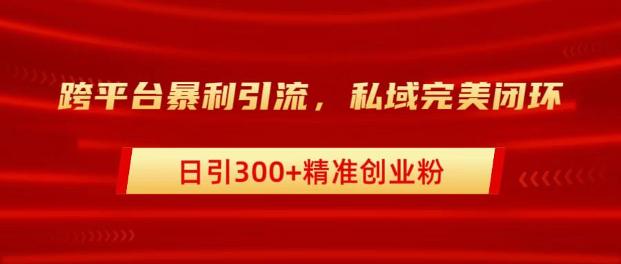 跨平台暴力引流，私域完美闭环，日引300+精准创业粉-风歌资源网