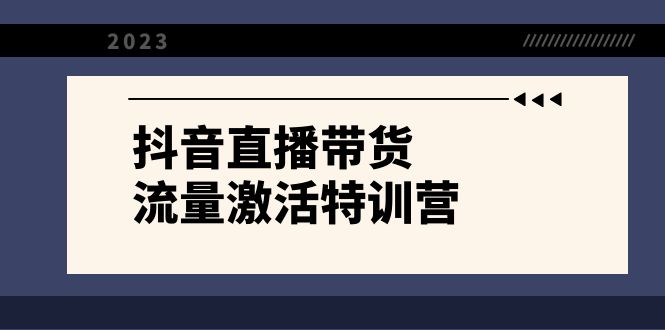 抖音直播带货-流量激活特训营，入行新手小白主播必学（21节课+资料）-风歌资源网