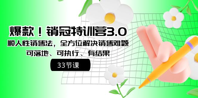 爆款！销冠特训营3.0之顺人性销售法，全方位解决销售难题、可落地-风歌资源网