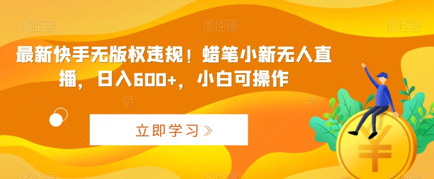 最新快手无版权违规！蜡笔小新无人直播，日入600+，小白可操作-风歌资源网