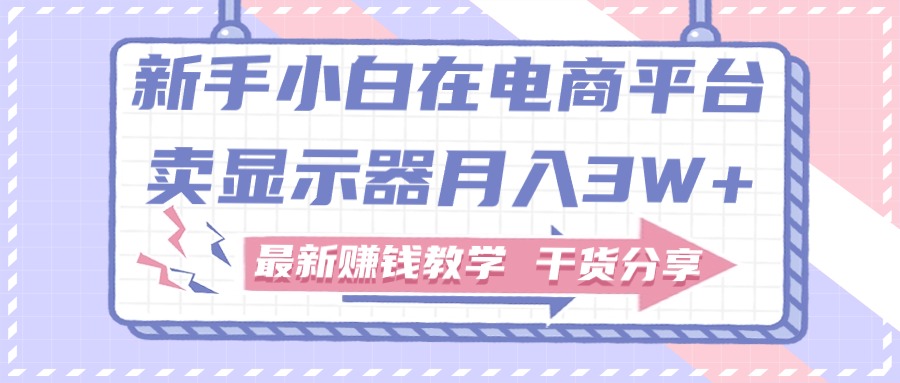 新手小白如何做到在电商平台卖显示器月入3W，最新赚钱教学干货-风歌资源网