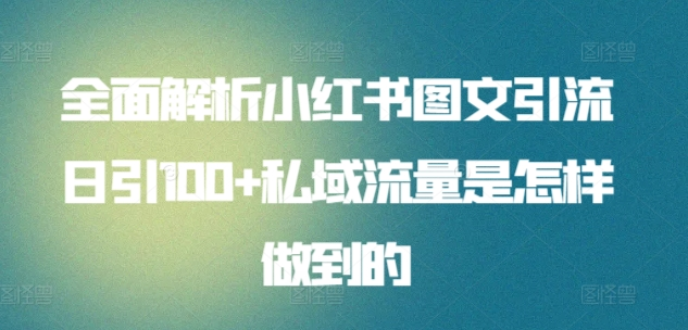 暴力引流 小红书图文引流日引100私域全面拆解【打粉人必看】-风歌资源网