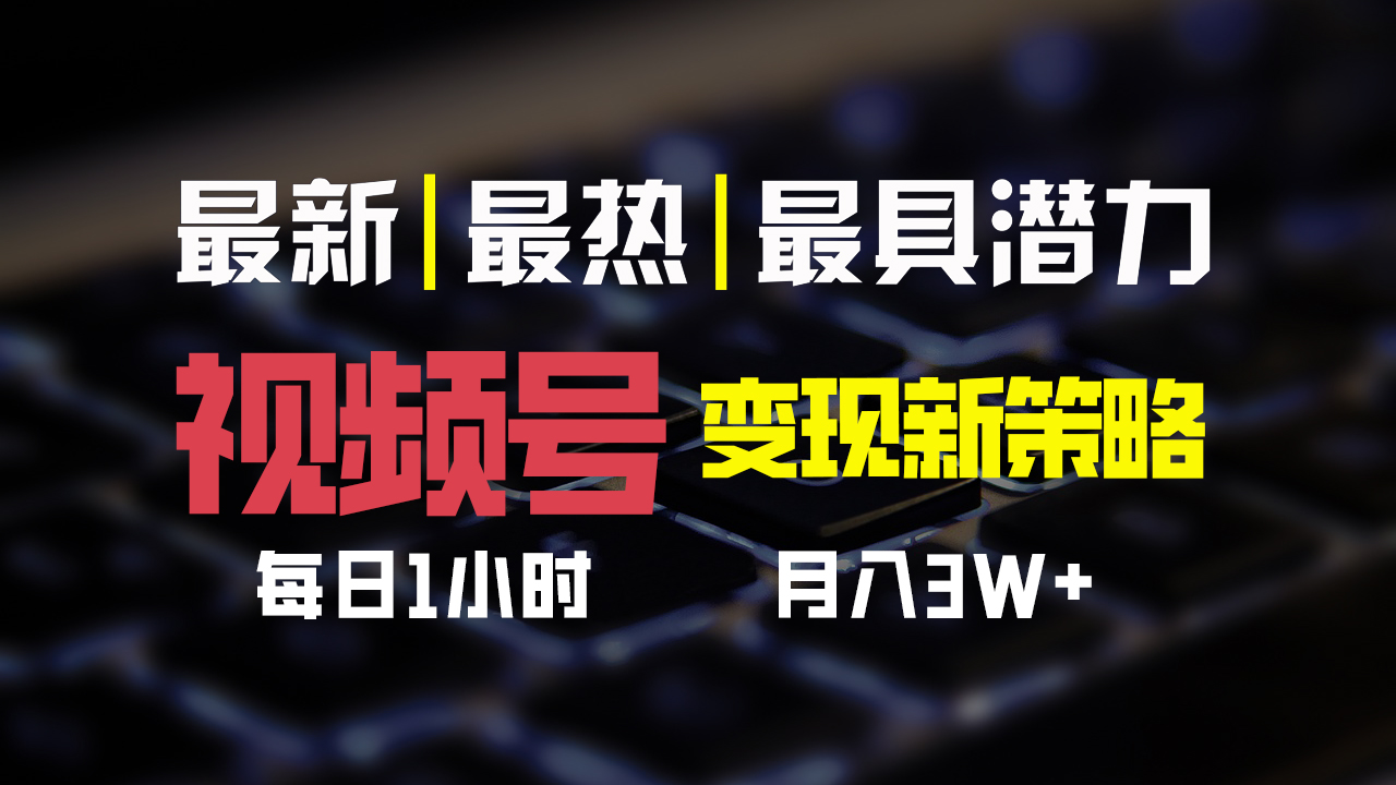 视频号变现新策略，每日一小时月入30000+-风歌资源网