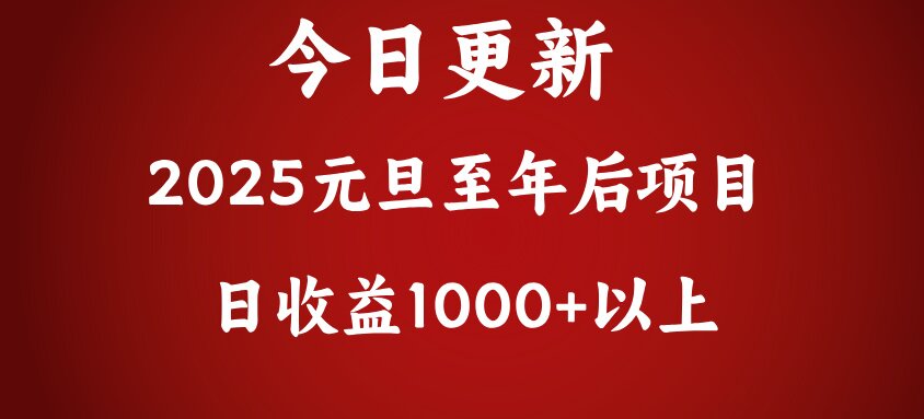 翻身项目，日收益1000+以上-风歌资源网