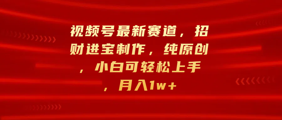 视频号最新赛道，招财进宝制作，纯原创，小白可轻松上手，月入1w+-风歌资源网