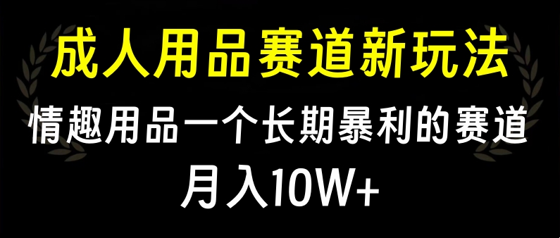 大人用品赛道新玩法，情趣用品一个长期暴利的赛道，月入10W+-风歌资源网