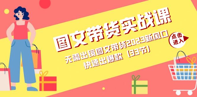 图文带货实战课：无需出镜图文带货2023新风口，快速出爆款（33节）-风歌资源网