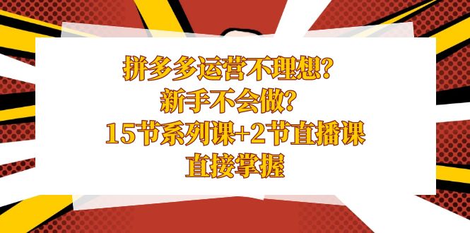 拼多多运营不理想？新手不会做？15节系列课+2节直播课，直接掌握-风歌资源网