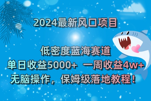 2024最新风口项目 低密度蓝海赛道，日收益5000+周收益4w+ 无脑操作-风歌资源网