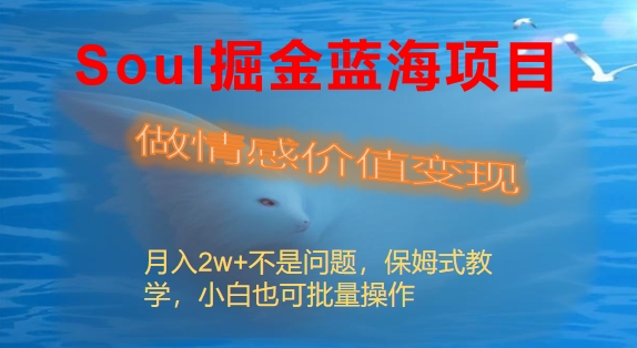 Soul掘金蓝海项目细分赛道，做情感价值变现，月入2w+不是问题-风歌资源网