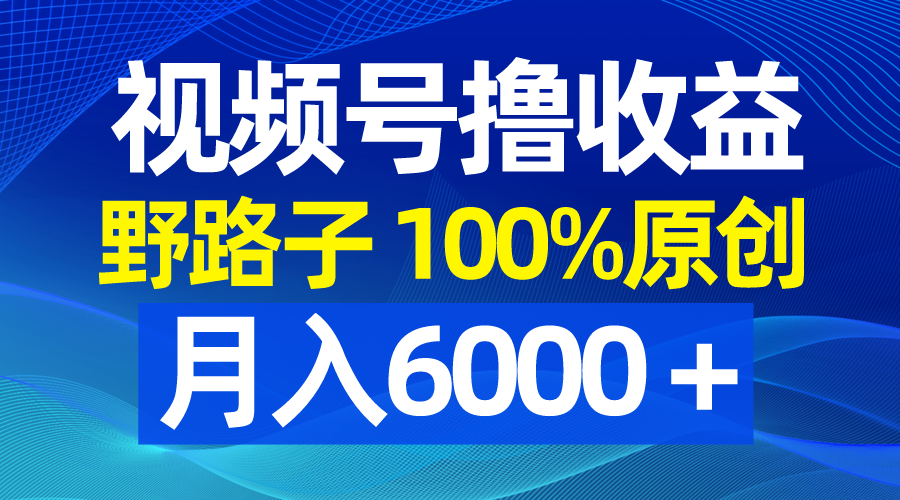 视频号野路子撸收益，100%原创，条条爆款，月入6000＋-风歌资源网