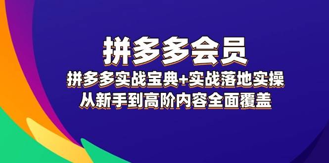 拼多多 会员，拼多多实战宝典+实战落地实操，从新手到高阶内容全面覆盖-风歌资源网